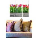 Wallity Set slika MDF41868, 3 dijela | Eponuda.ba