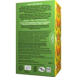 Pukka Kurkuma Activ organski biljni čaj | shoptok.hr