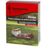 Semenarna sjeme trave za sjenovite položaje osoja (1 kg, 40 m²) Cijene