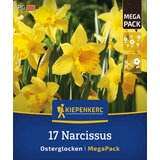 KIEPENKERL Mega pakiranje narcis "Osterglocken" - 17 k. Cene