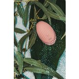 Lola games Klitoralni vibrator Shape of water Shell | ePonuda.com