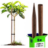 KADAX leseni koli, impregnirani koli, 120 cm, podporne palice, 5 kosov, premer 23 mm, (5000362663) Cene