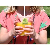  Zelena Nalepke Čisto in Razkuženo (500 kom) - Clean & Disinfected | Shoptok.si