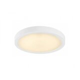 Rabalux Spoljna plafonska rasveta Shaun Plus LED 30W bela (75073) Cene