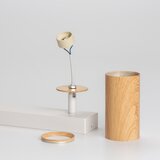  Brilagi - Spot svetlo SELE 2xGU10/30W/230V bela/dekor hrasta | Eponuda.com