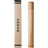 BANBU Etui za zobno ščetko iz bambusa