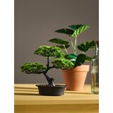 Sinsay Bonsai stablo u posudi | shoptok.hr
