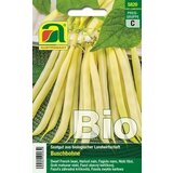 AUSTROSAAT bio grmičasti fižol "Dior" Cene