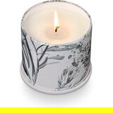 ILLUME x Bloomingville Dišeča sveča iz sojinega voska čas gorenja 50 h Winter – | Shoptok.si