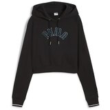 Puma Puloverji CLASSICS PLAY PARIS HOODIE Črna | Shoptok.si
