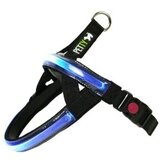 AM LED XL plav AM LED XL plav Slike