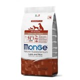 Monge All Breed Puppy-Junior Jagnjetina 12kg | Eponuda.com