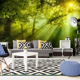  Tapeta XXL - In a Secret Forest II 500x280 Cijene