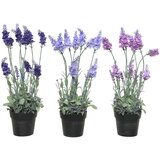  CVIJEĆE LAVANDA 40 CM 317002750 Cijene