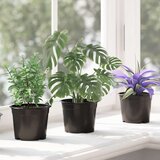  Lonac za cvijeće 200 pcs Crna Ø 15 x 12.5 cm Plastika | shoptok.hr