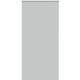 vidaXL Rolo zatemnjena svetlo siva 110x210cm tkanina širina 105,7cm | Shoptok.si