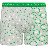 Frogies Men's boxers Zodiac Rak Cijene
