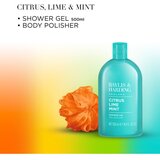 Baylis & Harding Men's Citrus Lime & Mint poklon set za muškarce | shoptok.hr