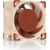 Noctua ventilator NF-A4x20 - PWM | shoptok.hr