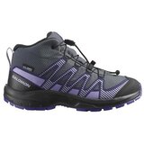 Salomon Xa Pro V8 Siva Cijene