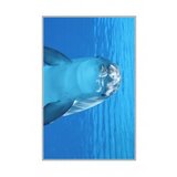 Conceptum Hypnose tepih (140x220) WOOKECE068 | ePonuda.com