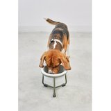 MiaCara Porculanska posuda s postoljem za pse ø 20 cm Pranzo Grolive M – | shoptok.hr