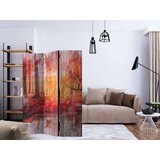  Paravan u 3 dijela - Autumnal Forest [Room Dividers] 135x172 | shoptok.hr