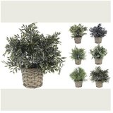  CVIJEĆE 28CM SORTO Cijene