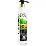 Delia Cosmetics Cameleo BB keratinski šampon za oštećenu kosu 250 ml