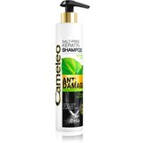 Delia Cosmetics Cameleo BB keratinski šampon za poškodovane lase 250 ml Cene