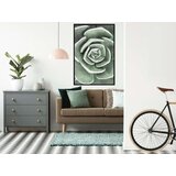  Poster - Robust Plant 20x30 | shoptok.hr