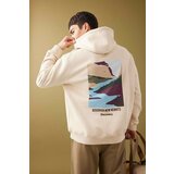 Defacto Oversize Fit Discovery Licensed Long Sleeve Sweatshirt cene