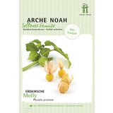 Arche Noah Ekološko volčje jabolko "Molly" Cene