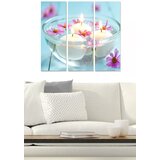 Wallity Set slika MDF1902524, 3 dijela | Eponuda.ba