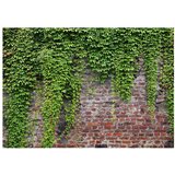  Tapeta - Brick and ivy 400x280 | shoptok.hr