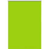 vidaXL Rolo zatemnjena listi zeleni 100x150 cm tkanina širina 95,7cm | Shoptok.si