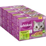 Whiskas Mega pakiranje 1+ Adult vrečke 48 x 85 g - Mešan izbor v želeju | Shoptok.si