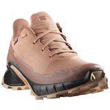 Salomon muške patike Alphacross 5 Gtx | ePonuda.com