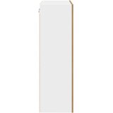 vidaXL Viseča omarica s polico Riga Umetni hrast 60 x 31 x 100 cm | Shoptok.si