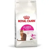 Cat Fussy 2 kg