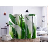 Artgeist PARAVAN 225/172/3 cm zelena, bela Slike