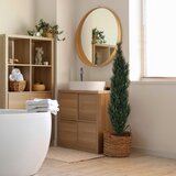MID.YOU Umetna Rastlina Cedrus | Shoptok.si