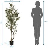 MID.YOU Umetna Rastlina Olive I | Shoptok.si
