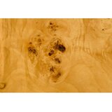 Dutchbone Klubska mizica v orehovem dekorju v naravni barvi 90x90 cm Quinn – | Shoptok.si