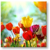  Slike na platnu cveće (moderne slike na platnu) | ePonuda.com