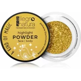Allegro Natura "A kind of magic" Highlight Powder - 02 Starry Gold