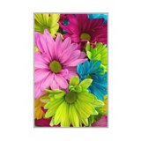 Conceptum Hypnose tepih (180x280) WOOKECE070 | ePonuda.com