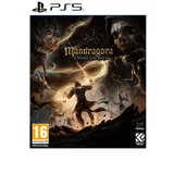 MANDRAGORA: WHISPERS OF THE WITCH TREE igra za PLAYSTATION 5, (5000004685)