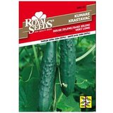  Krastavac Dugi Zeleni Royal Seeds | Eponuda.ba