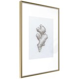  Poster - Ginger Rhizome 20x30 | shoptok.hr